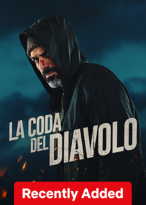 The Net poster